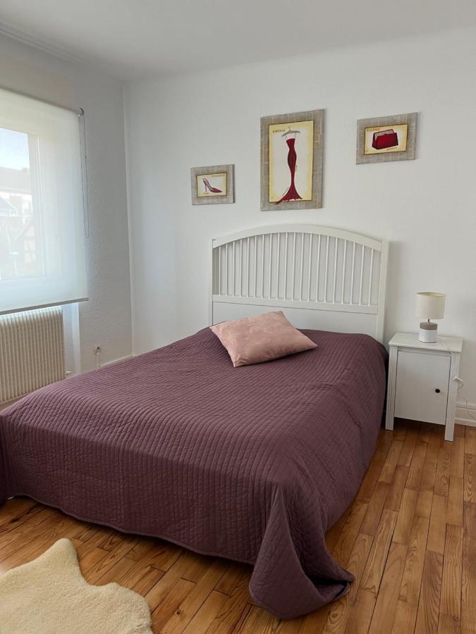 Appartement Location Chez Marie à Horbourg-Wihr Extérieur photo